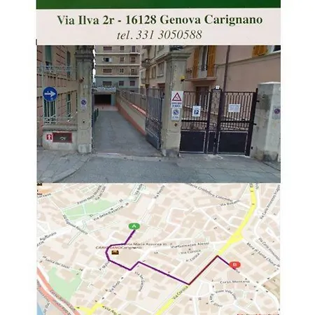 Lisauro Fieschi Genova